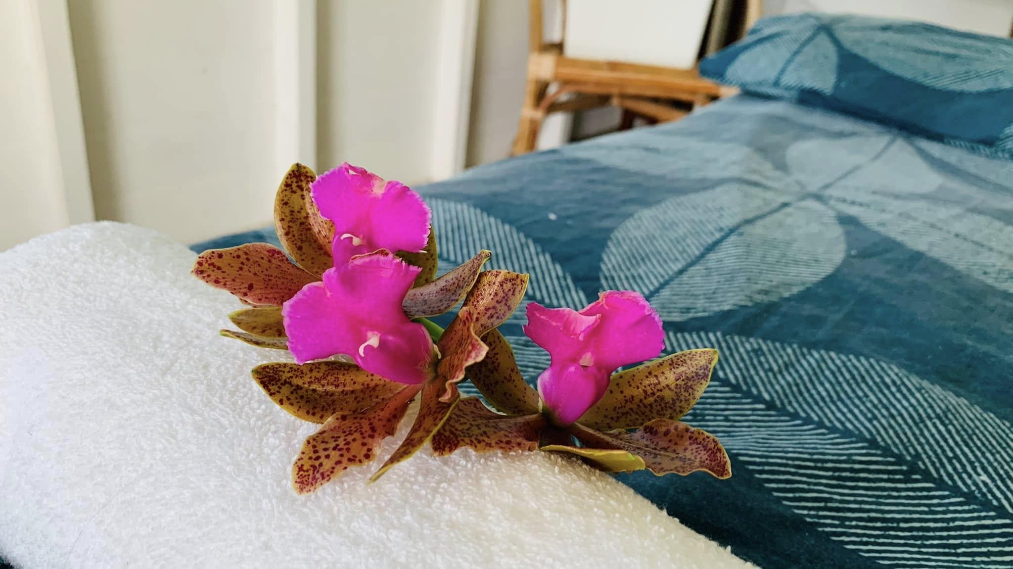 Relaxing massage space